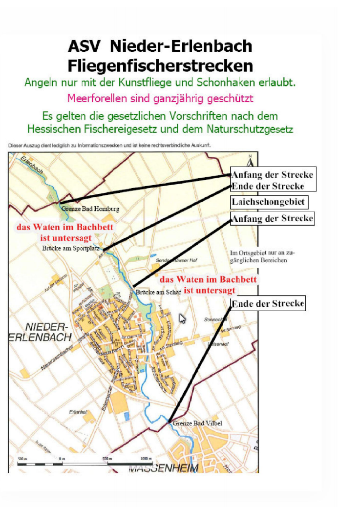 IGNidda ASV N Erlenbach